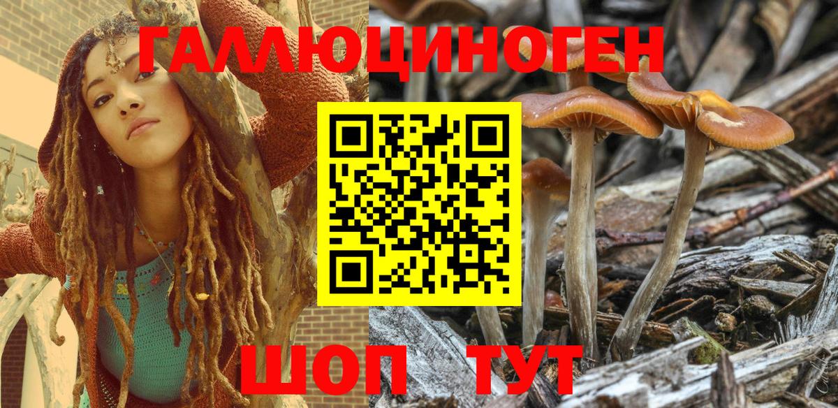 Алейск  Псилоцибиновые грибы Psilocybe  как найти закладки  Вход с VPN 
